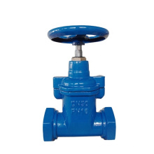 High Quality  Pn10/16 Cast and Ductile Iron Threaded Screwed End Resilient Seated Small Gate Valve